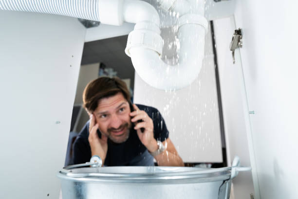 Best Water Leak Repair  in La Plata, MO