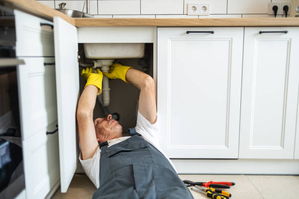 Best Plumbing Installation Services  in La Plata, MO