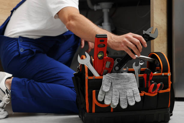 Best Residential Plumbing Services  in La Plata, MO